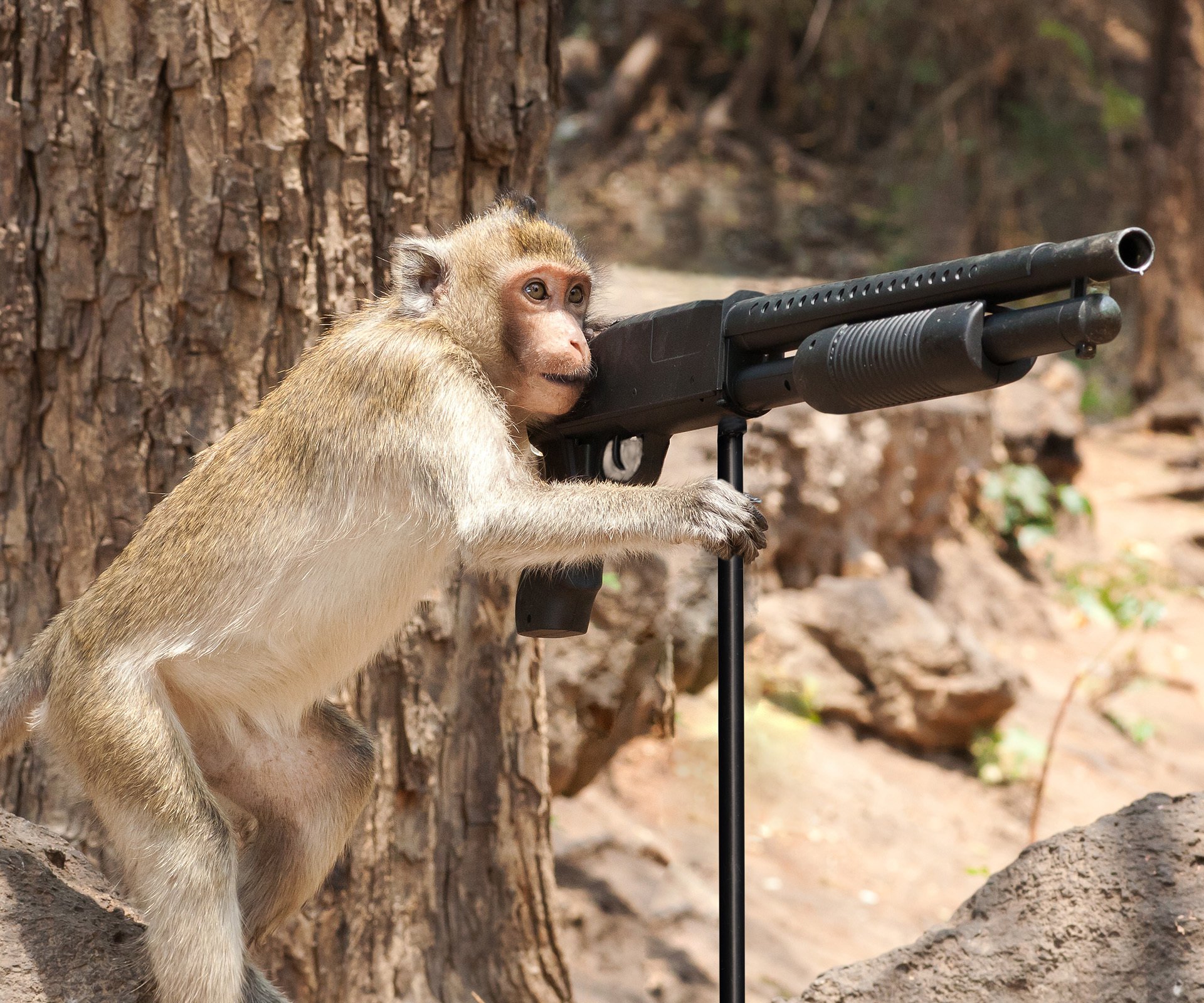Gun monkeys steam фото 66
